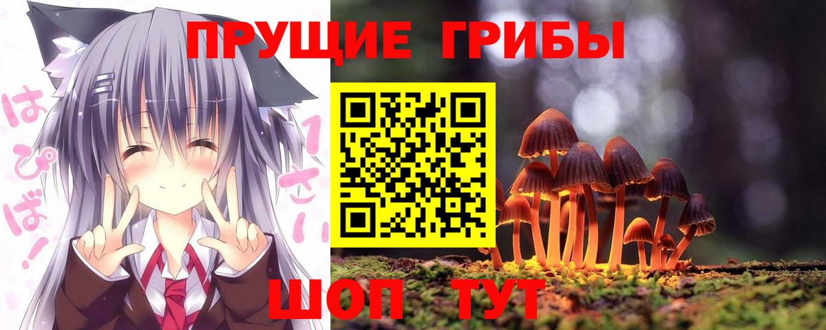 Псилоцибиновые грибы MAGIC MUSHROOMS Ревда