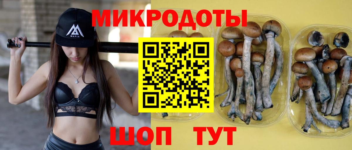 Псилоцибиновые грибы мицелий  Вход с VPN  Ревда 
